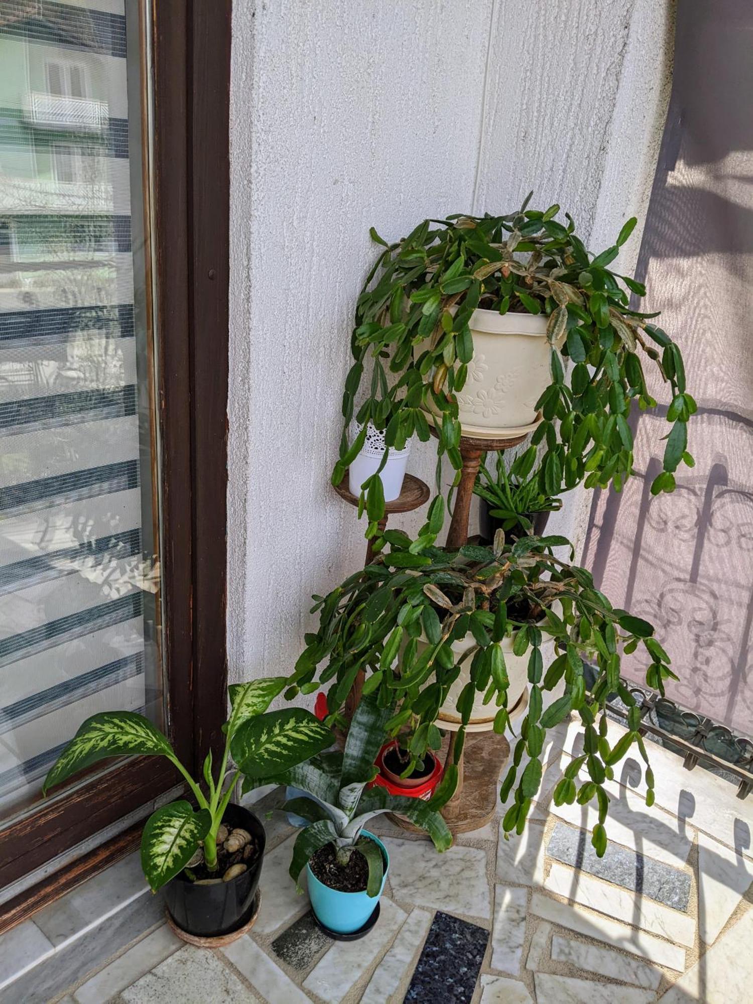 Apartmani Hrastik Bihać Zimmer foto